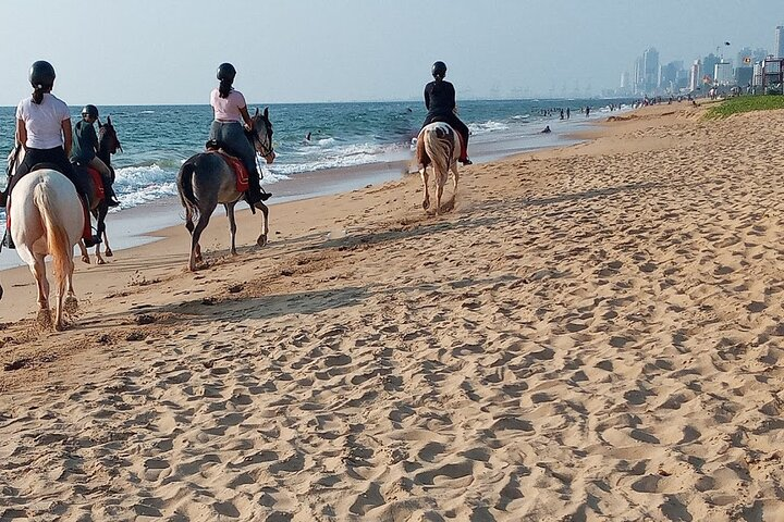 Half-Day Horse Riding in Kalpitiya - Photo 1 of 9